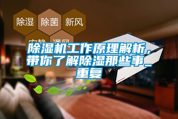 除濕機工作原理解析，帶你了解除濕那些事_重復