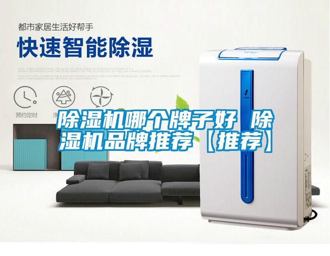 除濕機哪個牌子好 除濕機品牌推薦【推薦】