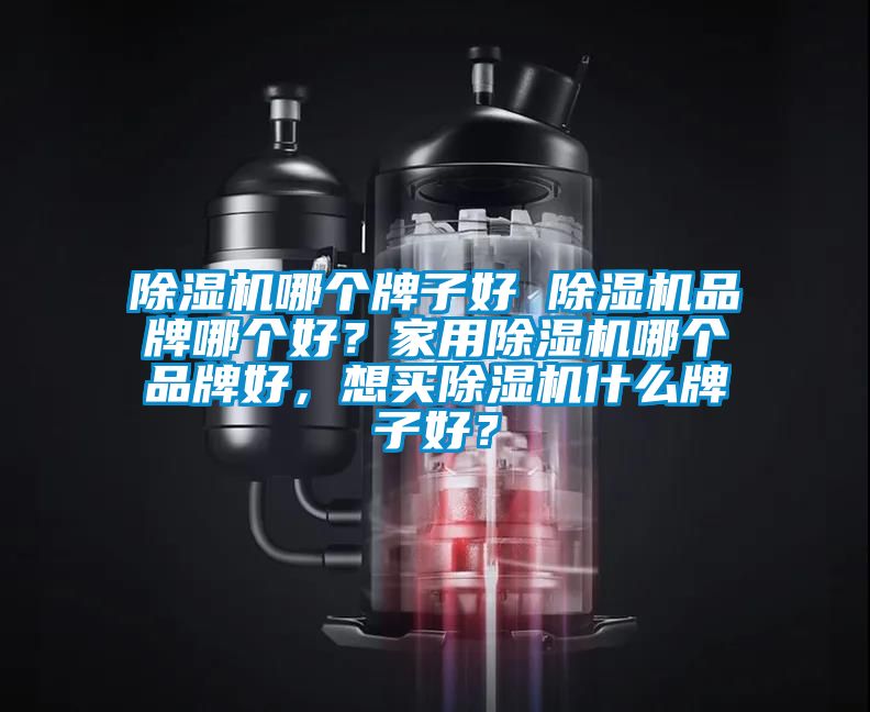 除濕機(jī)哪個(gè)牌子好 除濕機(jī)品牌哪個(gè)好？家用除濕機(jī)哪個(gè)品牌好，想買(mǎi)除濕機(jī)什么牌子好？