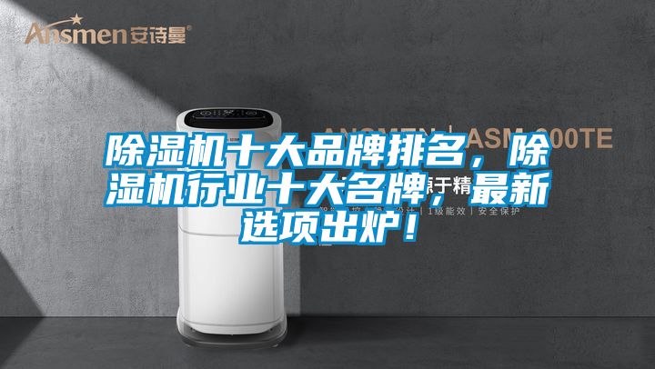 除濕機十大品牌排名，除濕機行業十大名牌，最新選項出爐！