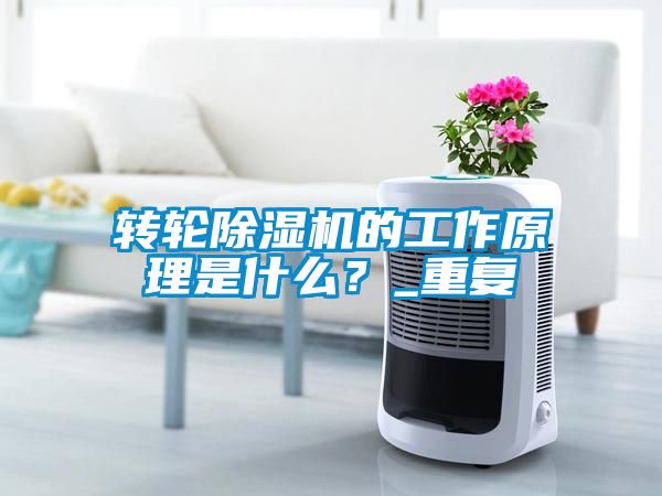 轉輪除濕機的工作原理是什么？_重復