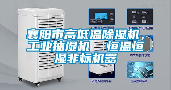 襄陽市高低溫除濕機，工業(yè)抽濕機  恒溫恒濕非標機器