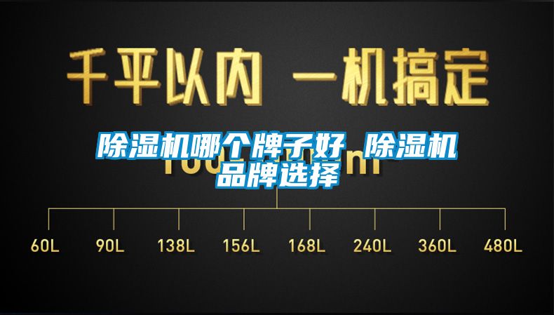 除濕機哪個牌子好 除濕機品牌選擇