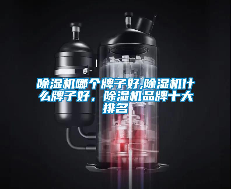 除濕機哪個牌子好,除濕機什么牌子好，除濕機品牌十大排名