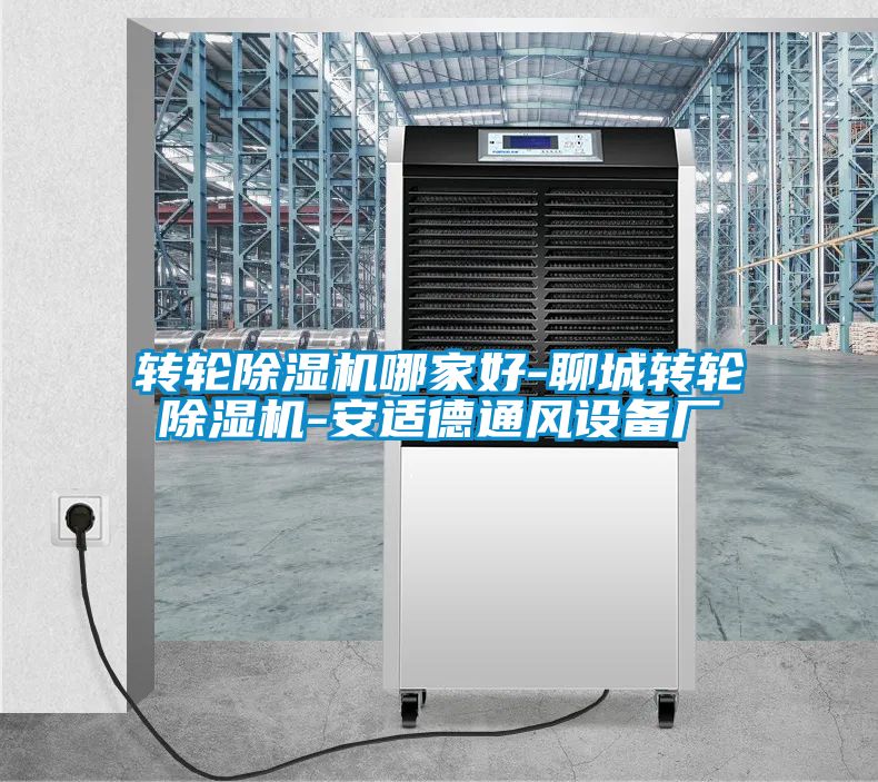 轉輪除濕機哪家好-聊城轉輪除濕機-安適德通風設備廠