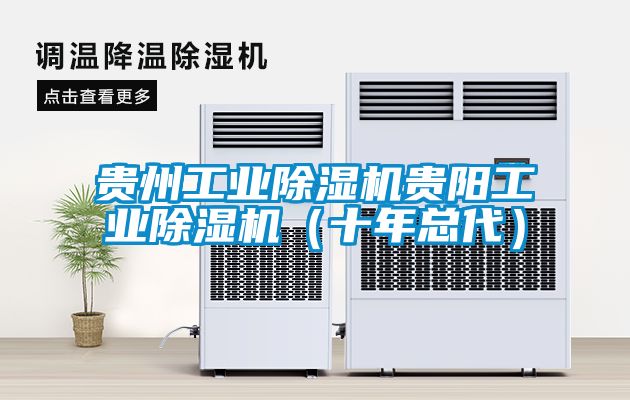 貴州工業除濕機貴陽工業除濕機（十年總代）