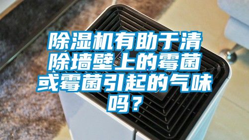 除濕機有助于清除墻壁上的霉菌或霉菌引起的氣味嗎？