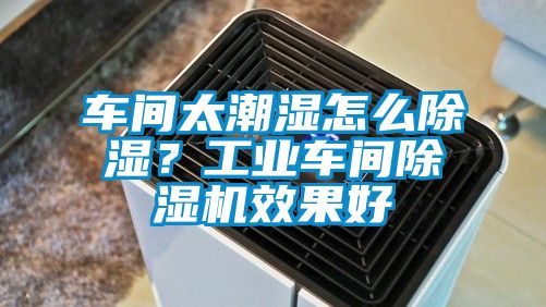 車間太潮濕怎么除濕？工業車間除濕機效果好