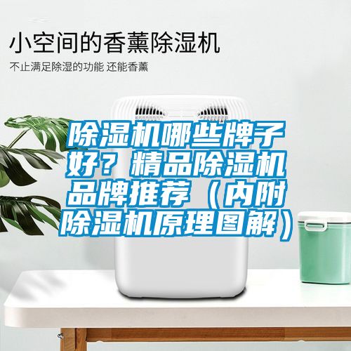 除濕機哪些牌子好？精品除濕機品牌推薦（內附除濕機原理圖解）