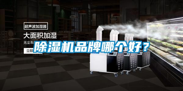 除濕機品牌哪個好？