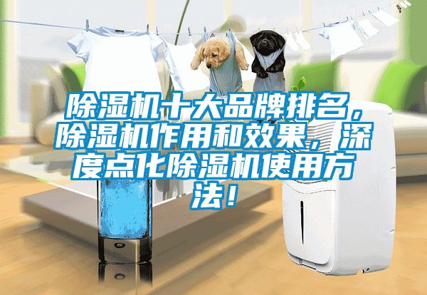 除濕機十大品牌排名，除濕機作用和效果，深度點化除濕機使用方法！