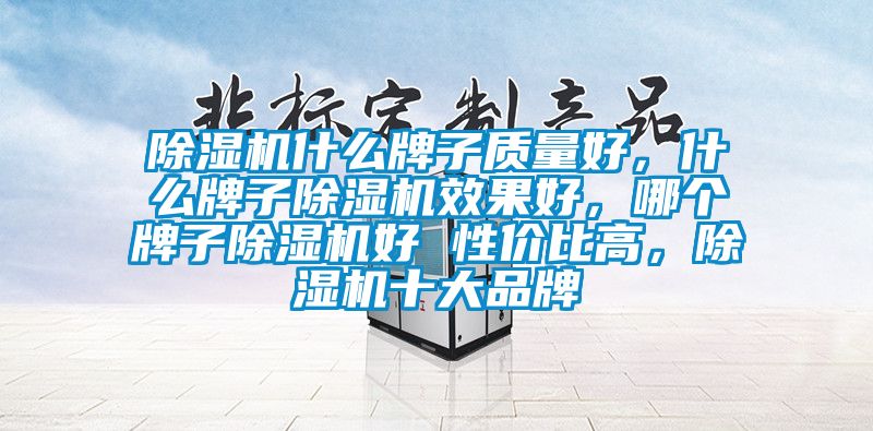 除濕機什么牌子質量好，什么牌子除濕機效果好，哪個牌子除濕機好 性價比高，除濕機十大品牌