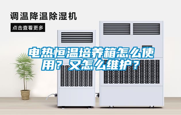 電熱恒溫培養箱怎么使用？又怎么維護？