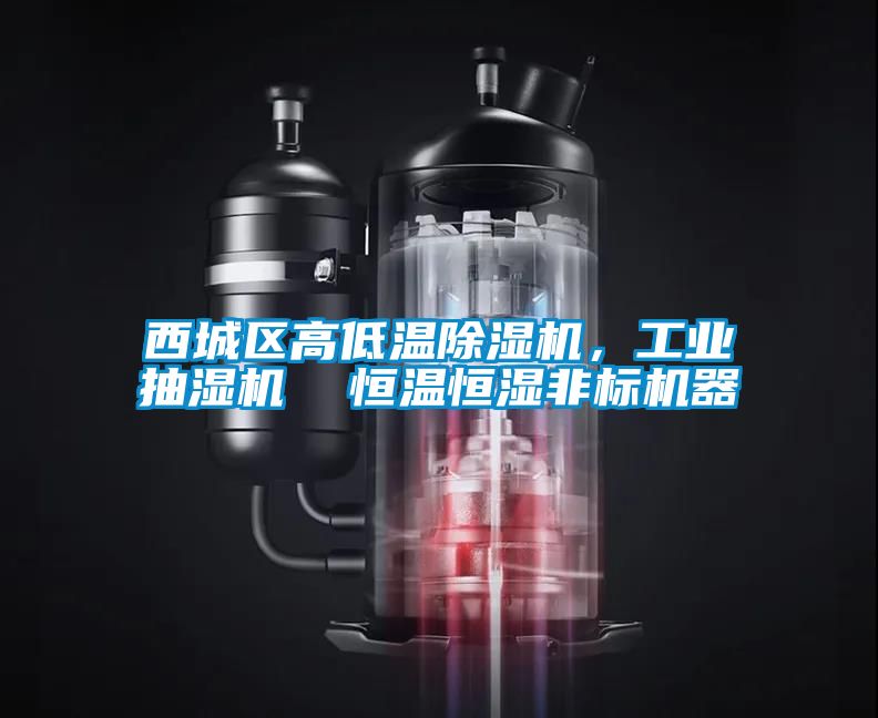 西城區高低溫除濕機，工業抽濕機  恒溫恒濕非標機器