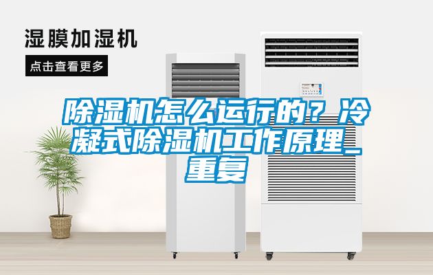 除濕機怎么運行的？冷凝式除濕機工作原理_重復