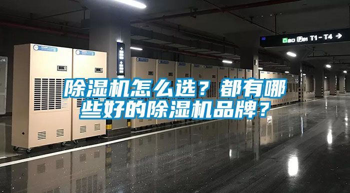 除濕機怎么選？都有哪些好的除濕機品牌？