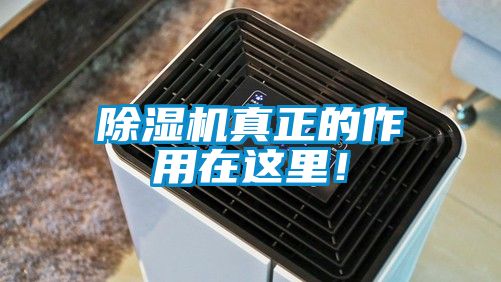 除濕機真正的作用在這里！