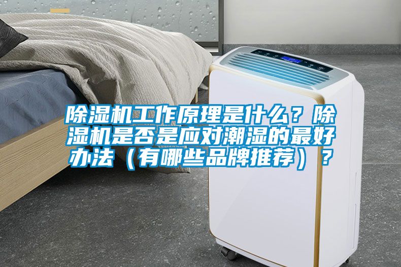 除濕機工作原理是什么？除濕機是否是應對潮濕的最好辦法（有哪些品牌推薦）？