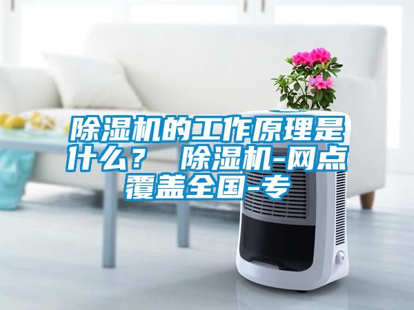 除濕機的工作原理是什么？ 除濕機-網點覆蓋全國-專