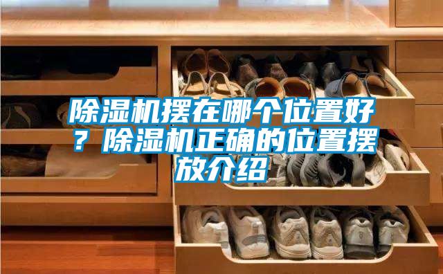 除濕機擺在哪個位置好？除濕機正確的位置擺放介紹