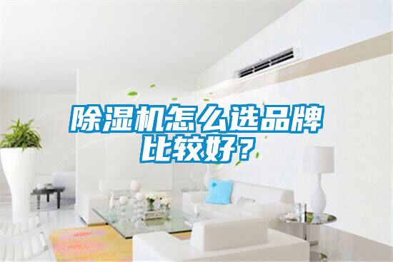 除濕機怎么選品牌比較好？