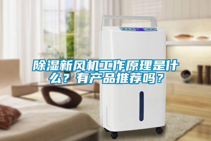 除濕新風機工作原理是什么？有產品推薦嗎？