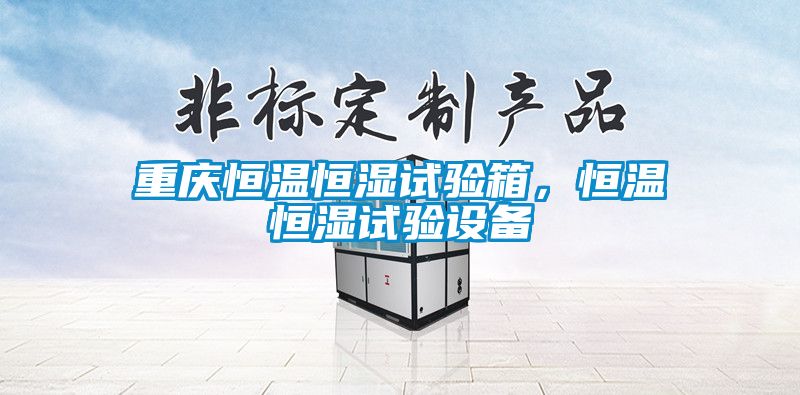 重慶恒溫恒濕試驗箱，恒溫恒濕試驗設(shè)備