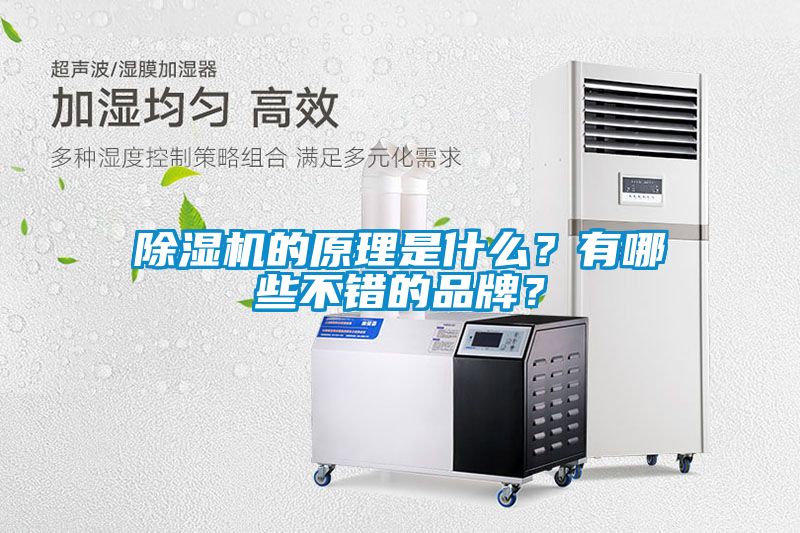 除濕機的原理是什么？有哪些不錯的品牌？