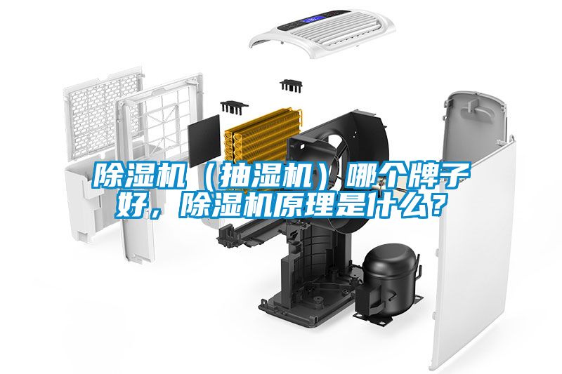 除濕機(jī)（抽濕機(jī)）哪個(gè)牌子好，除濕機(jī)原理是什么？