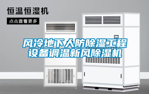 風冷地下人防除濕工程設備調(diào)溫新風除濕機