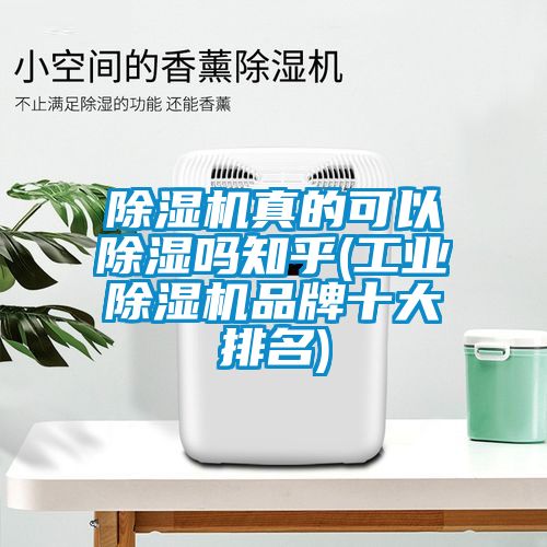 除濕機真的可以除濕嗎知乎(工業除濕機品牌十大排名)