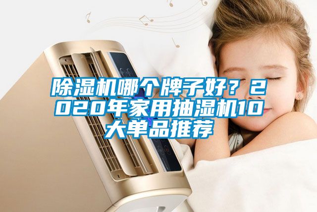 除濕機哪個牌子好？2020年家用抽濕機10大單品推薦