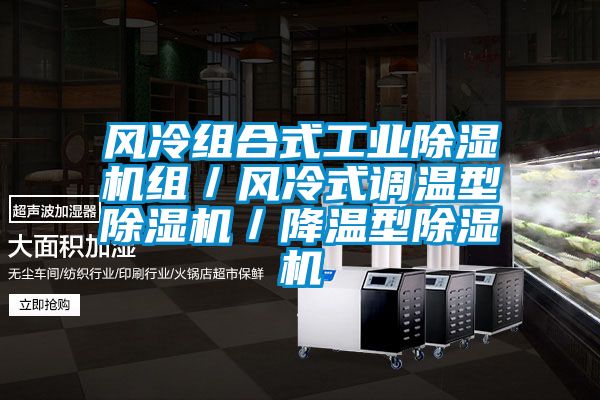 風冷組合式工業(yè)除濕機組／風冷式調(diào)溫型除濕機／降溫型除濕機